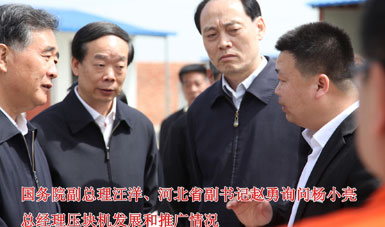 国务汪副总理询问天太杨小亮总经理压块机发展和推广情况