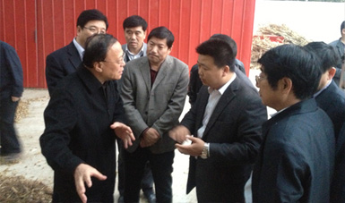河北省副省长、唐山市委，姜德果到我公司压块基地