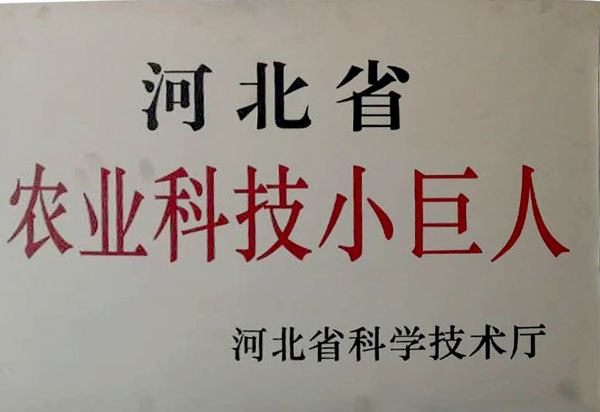 河北省农业科技小巨人