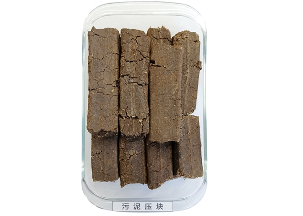 污泥压块